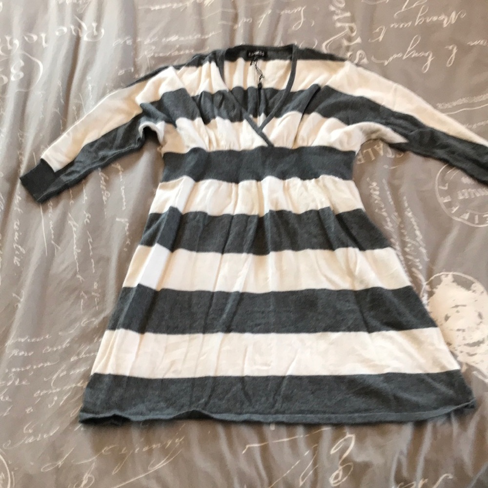 Express Sweater Dress
